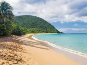 PRAIA-BRANCA